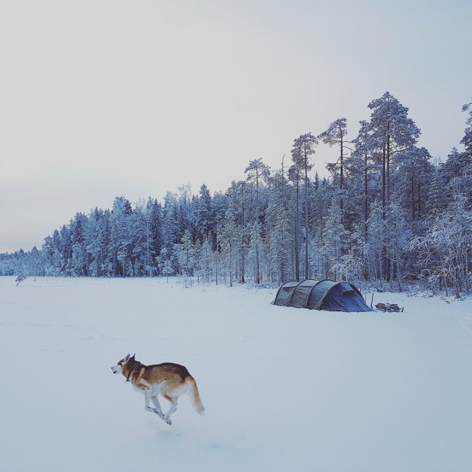 img_20170211_141516_862